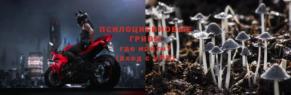 амф Вязьма