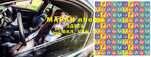 дмт Гусев