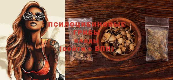 тгк Семёнов
