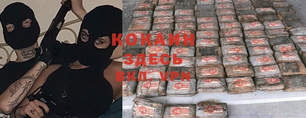 амф Вязьма