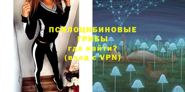 амф Вязьма