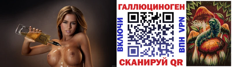 нарко площадка клад  Гвардейск  Псилоцибиновые грибы Psilocybe  ОМГ ОМГ как зайти 